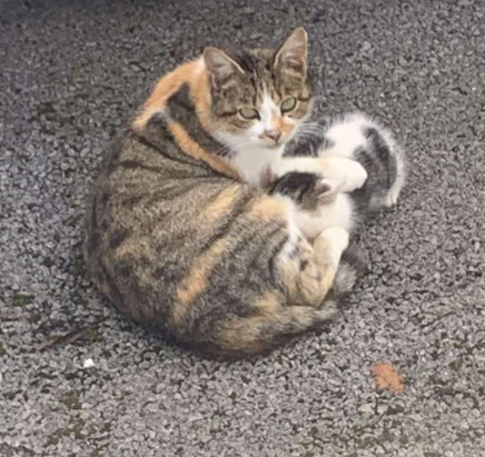 Books in a eerie room