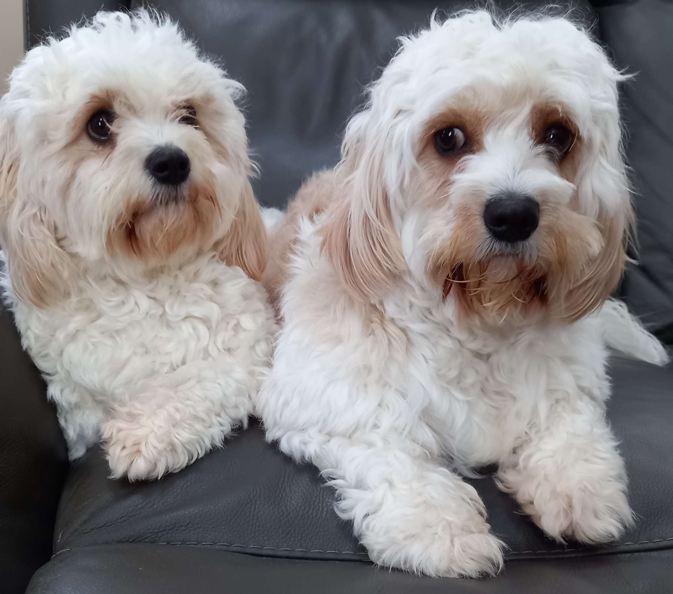 Books in a eerie room