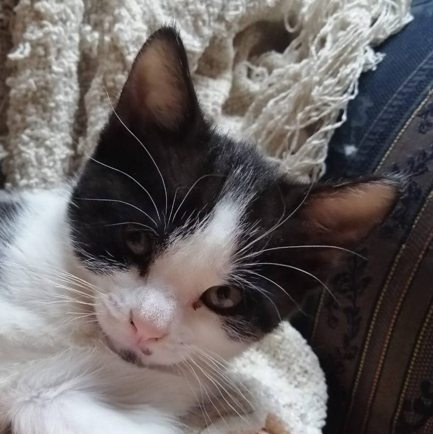 Books in a eerie room